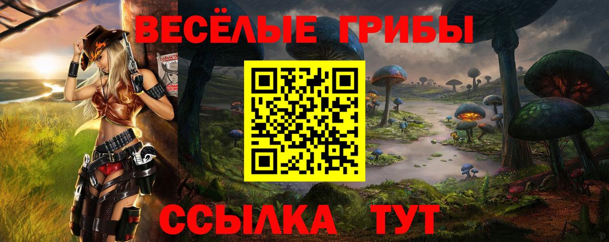 Псилоцибиновые грибы мицелий Калач-на-Дону