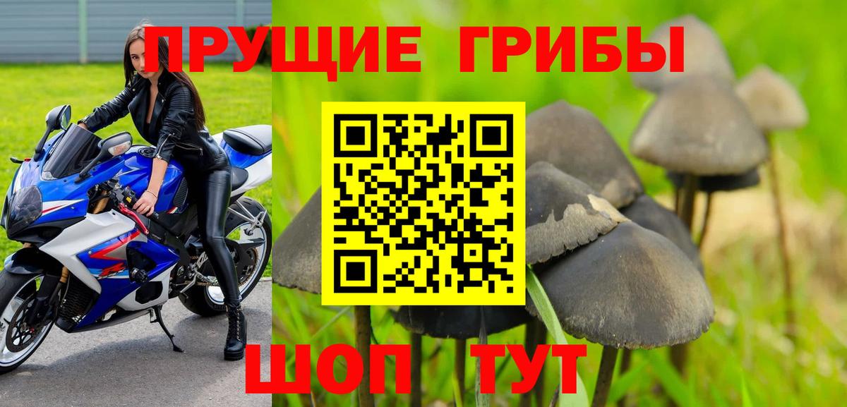 Псилоцибиновые грибы мухоморы  Вход с VPN  Калач-на-Дону  Псилоцибиновые грибы MAGIC MUSHROOMS 
